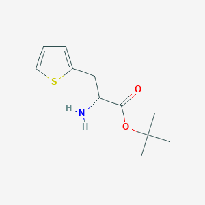 molecular formula C11H17NO2S B15312676 Tert-butyl 2-amino-3-(thiophen-2-yl)propanoate CAS No. 1544270-91-8