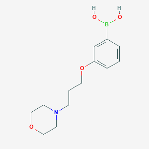 molecular formula C13H20BNO4 B1531357 (3-(3-Morpholinopropoxy)phenyl)boronic acid CAS No. 2246592-01-6