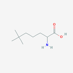 molecular formula C9H19NO2 B15313824 2-Amino-6,6-dimethylheptanoic acid CAS No. 142886-11-1