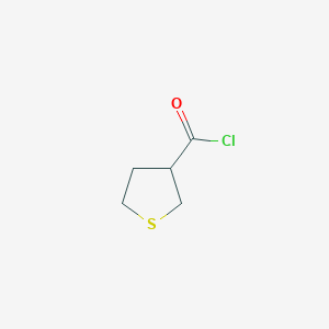 molecular formula C5H7ClOS B15314027 Thiolane-3-carbonyl chloride 