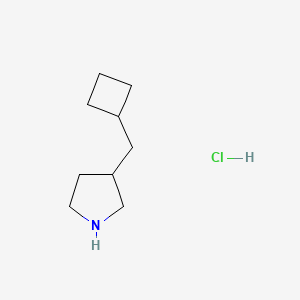 molecular formula C9H18ClN B15315342 3-(Cyclobutylmethyl)pyrrolidinehydrochloride 