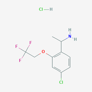 molecular formula C10H12Cl2F3NO B1531623 1-[4-Chloro-2-(2,2,2-trifluoroethoxy)phenyl]ethylamine hydrochloride CAS No. 2205384-91-2