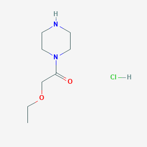 2-Ethoxy-1-piperazin-1-yl-ethanone hydrochloride