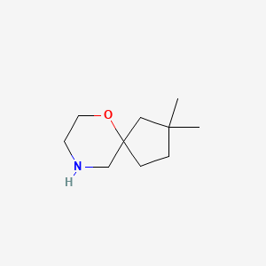 molecular formula C10H19NO B15316591 2,2-Dimethyl-6-oxa-9-azaspiro[4.5]decane 