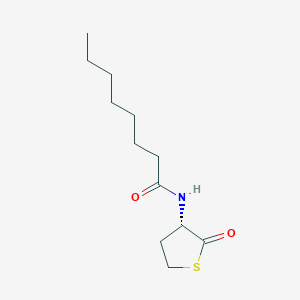 molecular formula C12H21NO2S B15317644 N-[(3S)-2-oxothiolan-3-yl]octanamide 