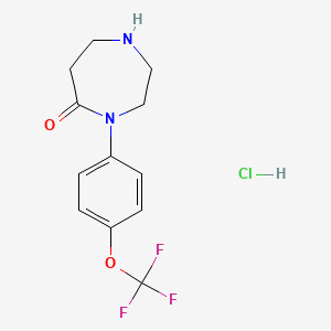 molecular formula C12H14ClF3N2O2 B1531790 4-[4-(Trifluoromethoxy)phenyl]-1,4-diazepan-5-one hydrochloride CAS No. 2098128-98-2