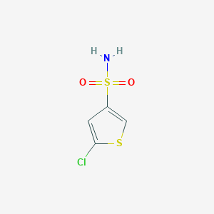molecular formula C4H4ClNO2S2 B15318317 5-Chlorothiophene-3-sulfonamide CAS No. 887571-42-8