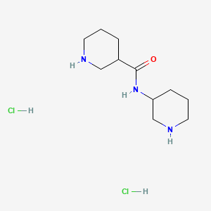 molecular formula C11H23Cl2N3O B15318924 N-(piperidin-3-yl)piperidine-3-carboxamidedihydrochloride 