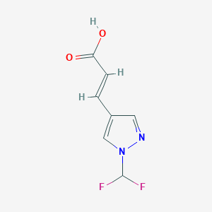 molecular formula C7H6F2N2O2 B1532073 (2E)-3-[1-(difluoromethyl)-1H-pyrazol-4-yl]prop-2-enoic acid CAS No. 2089546-86-9