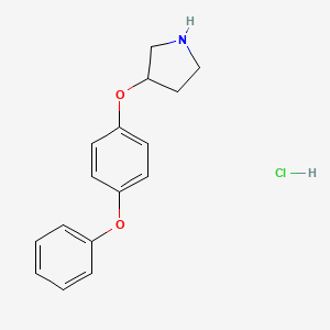 molecular formula C16H18ClNO2 B1532079 3-(4-Phenoxyphenoxy)pyrrolidine hydrochloride CAS No. 1185302-12-8