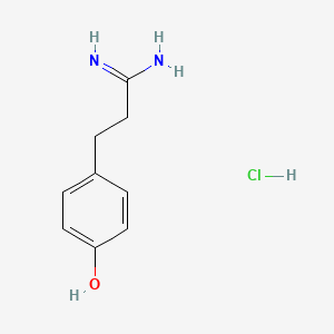 molecular formula C9H13ClN2O B1532181 3-(4-Hydroxy-phenyl)-propionamidine hydrochloride CAS No. 159239-64-2