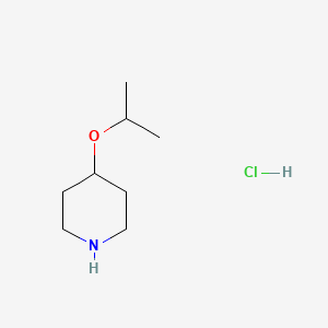molecular formula C8H18ClNO B1532267 4-Isopropoxypiperidine hydrochloride CAS No. 1097146-30-9