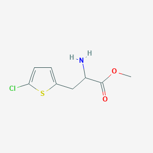 molecular formula C8H10ClNO2S B15325222 Methyl 2-amino-3-(5-chlorothiophen-2-yl)propanoate 