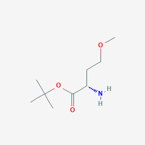 molecular formula C9H19NO3 B15328362 (S)-tert-Butyl 2-amino-4-methoxybutanoate 