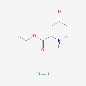 molecular formula C8H14ClNO3 B15329463 Ethyl 4-oxopiperidine-2-carboxylate hydrochloride 