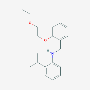 molecular formula C20H27NO2 B1532970 N-[2-(2-Ethoxyethoxy)benzyl]-2-isopropylaniline CAS No. 1040682-20-9