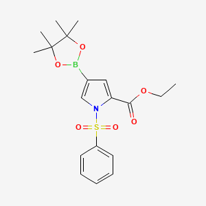 molecular formula C19H24BNO6S B15330131 Ethyl 1-(phenylsulfonyl)-4-(4,4,5,5-tetramethyl-1,3,2-dioxaborolan-2-yl)-1H-pyrrole-2-carboxylate 