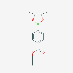molecular formula C17H25BO4 B153314 Tert-butyl 4-(4,4,5,5-tetramethyl-1,3,2-dioxaborolan-2-yl)benzoate CAS No. 850568-72-8