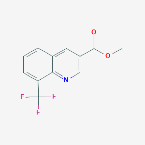 molecular formula C12H8F3NO2 B15332049 Methyl 8-(trifluoromethyl)quinoline-3-carboxylate 