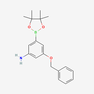 molecular formula C19H24BNO3 B15337337 3-(Benzyloxy)-5-(4,4,5,5-tetramethyl-1,3,2-dioxaborolan-2-yl)aniline 