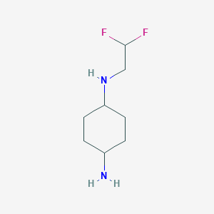 molecular formula C8H16F2N2 B15338206 cis-N1-(2,2-Difluoroethyl)-1,4-cyclohexanediamine 