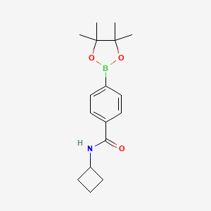molecular formula C17H24BNO3 B15340066 N-Cyclobutyl-4-(4,4,5,5-tetramethyl-1,3,2-dioxaborolan-2-yl)benzamide 