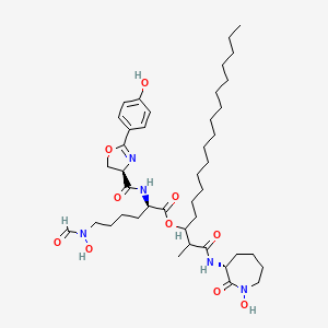 molecular formula C42H67N5O10 B15347228 brasilibactin A 