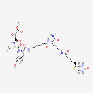 molecular formula C43H66N8O11S B15353079 DCG04 