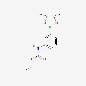 molecular formula C16H24BNO4 B15358702 propyl N-[3-(4,4,5,5-tetramethyl-1,3,2-dioxaborolan-2-yl)phenyl]carbamate 