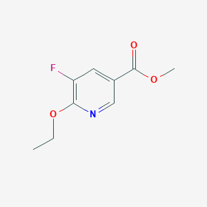 molecular formula C9H10FNO3 B15372519 Methyl 6-ethoxy-5-fluoronicotinate 
