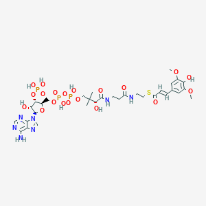 molecular formula C32H46N7O20P3S B153744 Sinapoyl-CoA CAS No. 54429-80-0