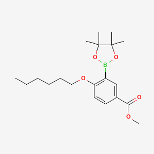 molecular formula C20H31BO5 B15388253 Methyl 4-(hexyloxy)-3-(4,4,5,5-tetramethyl-1,3,2-dioxaborolan-2-yl)benzoate 