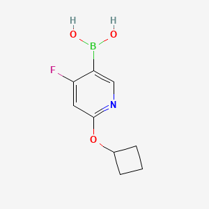 molecular formula C9H11BFNO3 B15388310 (6-Cyclobutoxy-4-fluoropyridin-3-yl)boronic acid 