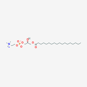 B154088 1-Octadecanoyl-sn-glycero-3-phosphocholine CAS No. 19420-57-6