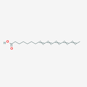 molecular formula C18H26O2 B15417214 Octadeca-8,10,12,14,16-pentaenoic acid CAS No. 157892-09-6