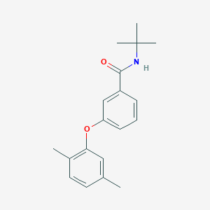 molecular formula C19H23NO2 B15443503 Benzamide, N-(1,1-dimethylethyl)-3-(2,5-dimethylphenoxy)- CAS No. 65261-99-6