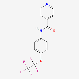 molecular formula C14H9F5N2O2 B15451981 N-[4-(Pentafluoroethoxy)phenyl]pyridine-4-carboxamide CAS No. 62315-15-5