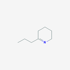 molecular formula C8H15N B154535 γ-圆锥素 CAS No. 1604-01-9