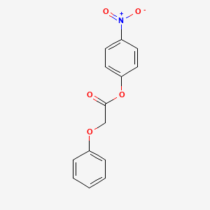 molecular formula C14H11NO5 B15454798 Acetic acid, phenoxy-, 4-nitrophenyl ester CAS No. 62171-64-6