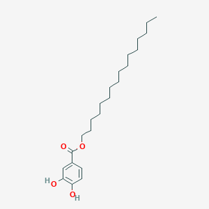 molecular formula C23H38O4 B15477820 Hexadecyl 3,4-dihydroxybenzoate CAS No. 31086-05-2