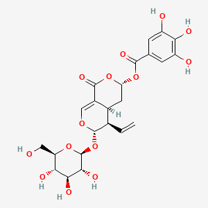 molecular formula C23H26O14 B15494167 [(3S,4aS,5R,6S)-5-ethenyl-1-oxo-6-[(2S,3R,4S,5S,6R)-3,4,5-trihydroxy-6-(hydroxymethyl)oxan-2-yl]oxy-4,4a,5,6-tetrahydro-3H-pyrano[3,4-c]pyran-3-yl] 3,4,5-trihydroxybenzoate 