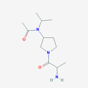 molecular formula C12H23N3O2 B15504977 N-[1-(2-aminopropanoyl)pyrrolidin-3-yl]-N-propan-2-ylacetamide 
