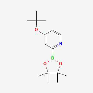 molecular formula C15H24BNO3 B15521697 4-(Tert-butoxy)pyridine-2-boronic acid pinacol ester 