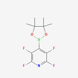 molecular formula C11H12BF4NO2 B15522116 2,3,5,6-Tetrafluoro-4-(4,4,5,5-tetramethyl-1,3,2-dioxaborolan-2-YL)pyridine 