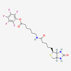 molecular formula C22H26F5N3O4S B15522255 Biotin-Aca-PFP 