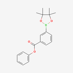 molecular formula C19H21BO4 B15532835 Phenyl 3-(4,4,5,5-tetramethyl-1,3,2-dioxaborolan-2-yl)benzoate 