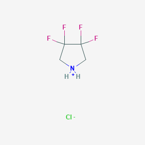 molecular formula C4H6ClF4N B155371 3,3,4,4-四氟吡咯烷盐酸盐 CAS No. 1810-13-5