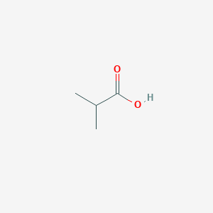 molecular formula C4H8O2<br>(CH3)2CHCOOH<br>C4H8O2 B155497 异丁酸 CAS No. 79-31-2
