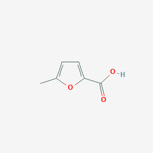 molecular formula C6H6O3 B156158 5-Methylfuran-2-carboxylic acid CAS No. 1917-15-3