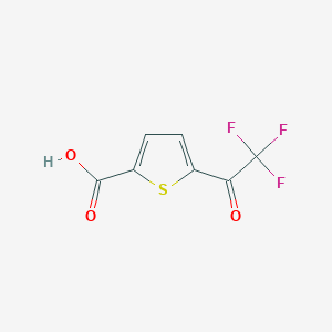 molecular formula C7H3F3O3S B156972 5-(Trifluoroacetyl)thiophene-2-carboxylic acid CAS No. 929028-43-3